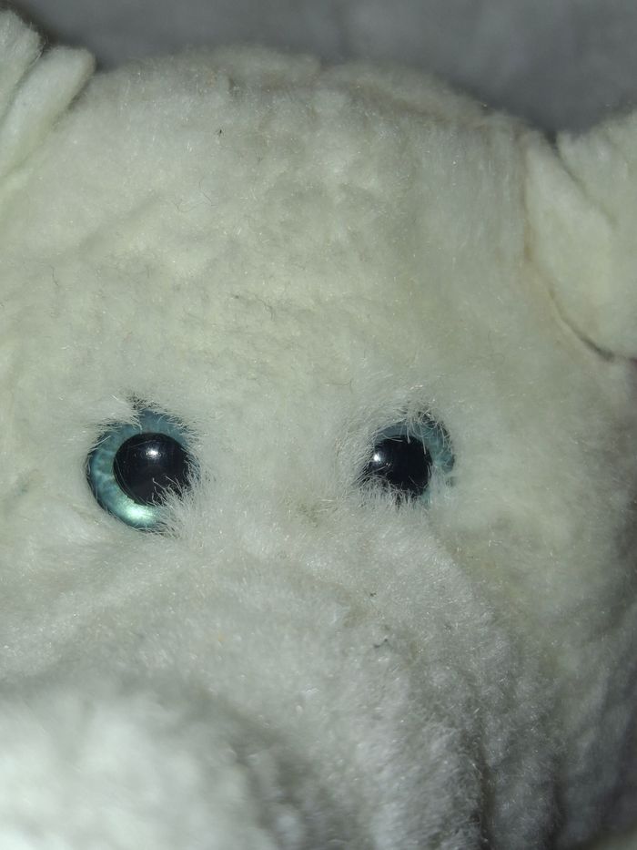 Peluche vintage éléphant Nounours - photo numéro 3