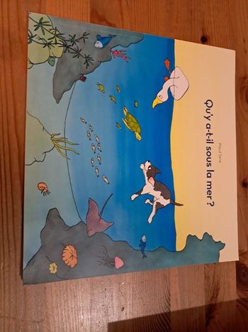 Qu'y à t-il sous la mer?
