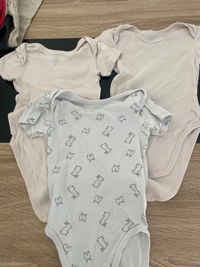 Lot body manches courte 23 mois