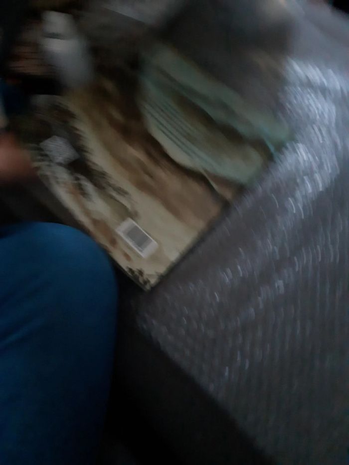 Les trois vies de petite perle - photo numéro 4