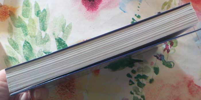 SECRETS D'HISTOIRE TOME 2 par Stéphane BERN Ed. France Loisirs - photo numéro 5