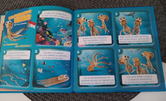 Livre "Les animaux les plus bizarres du monde" neuf - photo numéro 3