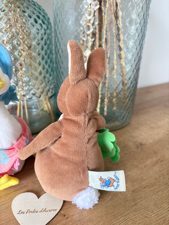 Peter rabbit et Sophie canetang - photo numéro 4