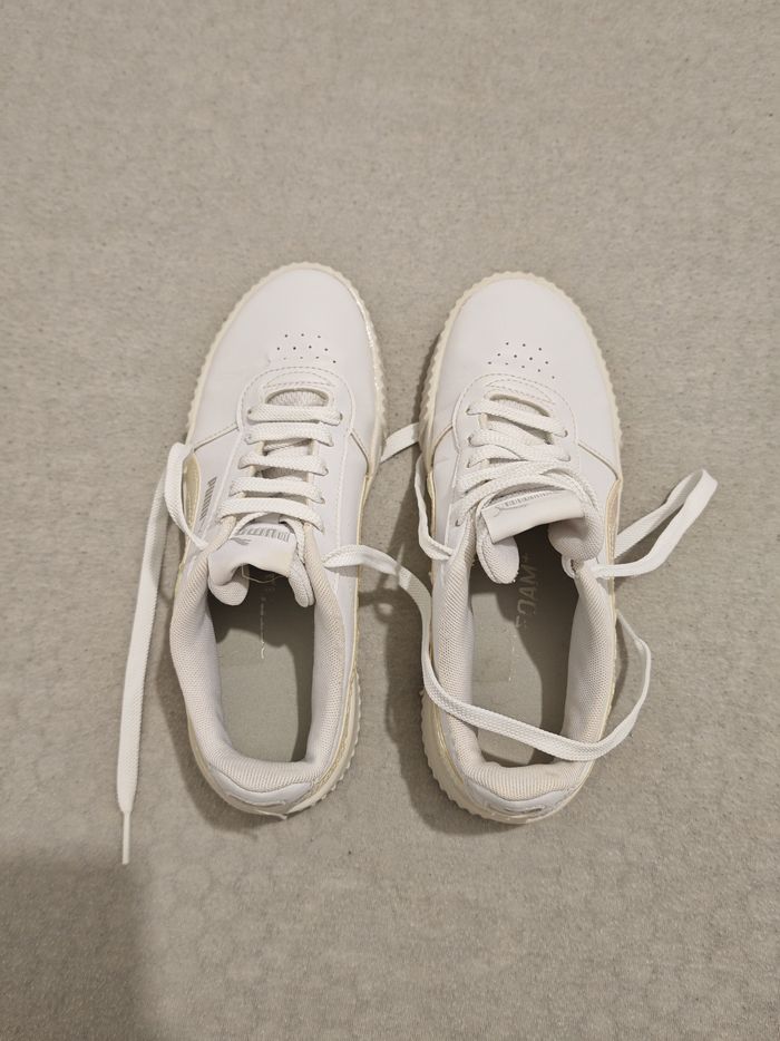 Basket puma