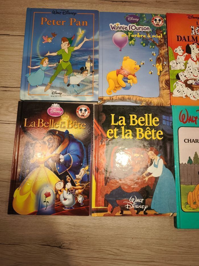Lot livre disney - photo numéro 2