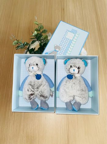 Lot de deux doudou ourson « doudou et compagnie »