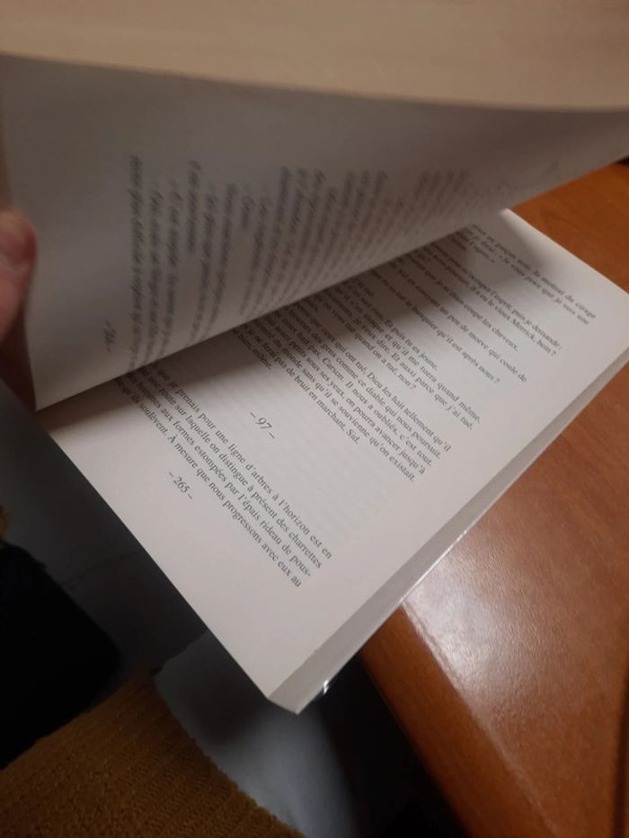 Livre à c édition roman anne carrière - photo numéro 10