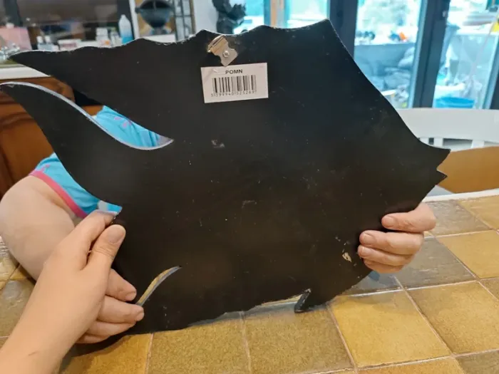 Miroir poisson - photo numéro 4