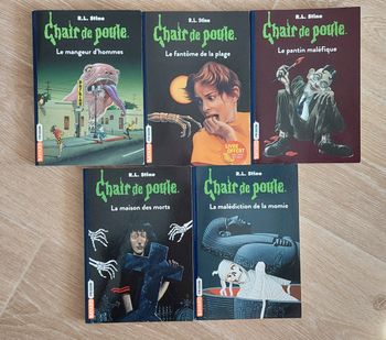 5 Livres Chair de Poule
