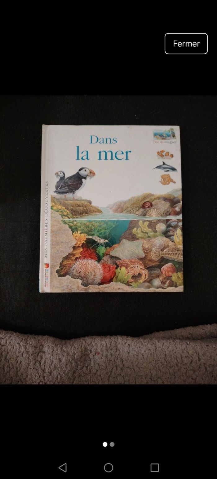 Dans la mer