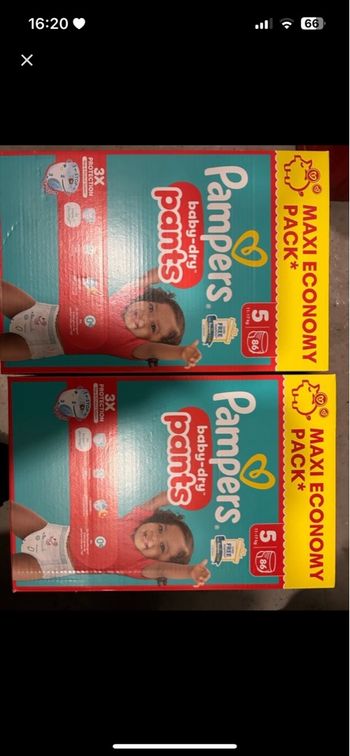 Pampers pants t5