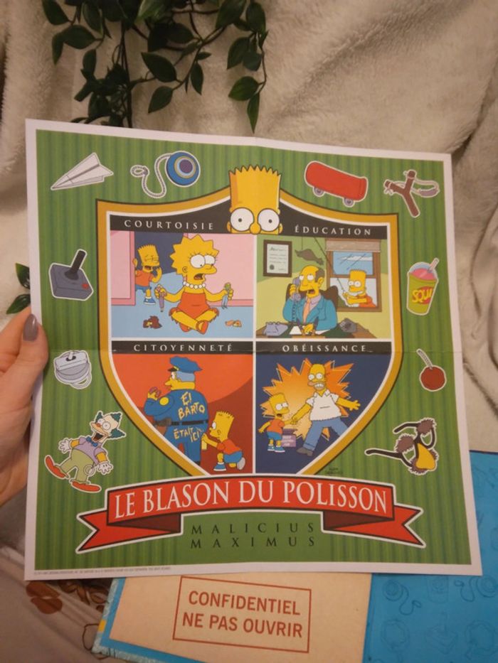 🌸Livre Bart Simpson le manuel du sale gosse🌸 - photo numéro 3