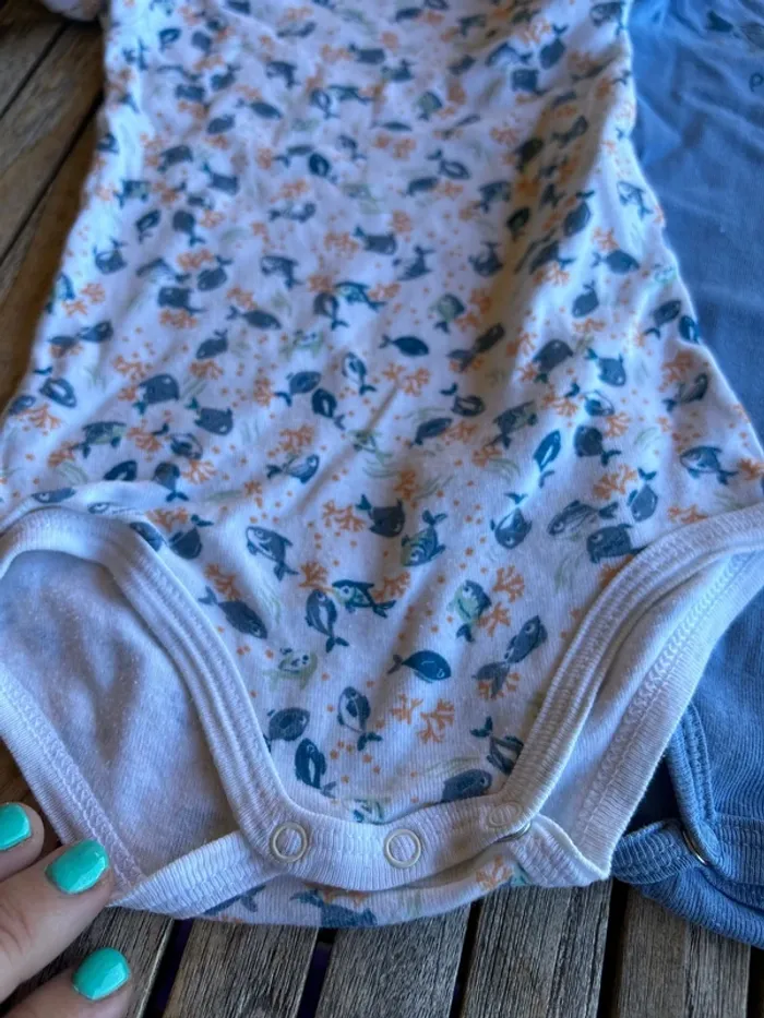 Lot de 3 bodys Petit Bateau - 12 mois - photo numéro 4