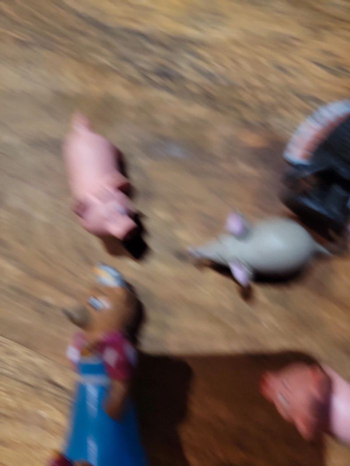 Lot animaux et personnage miniature jouet - photo numéro 3