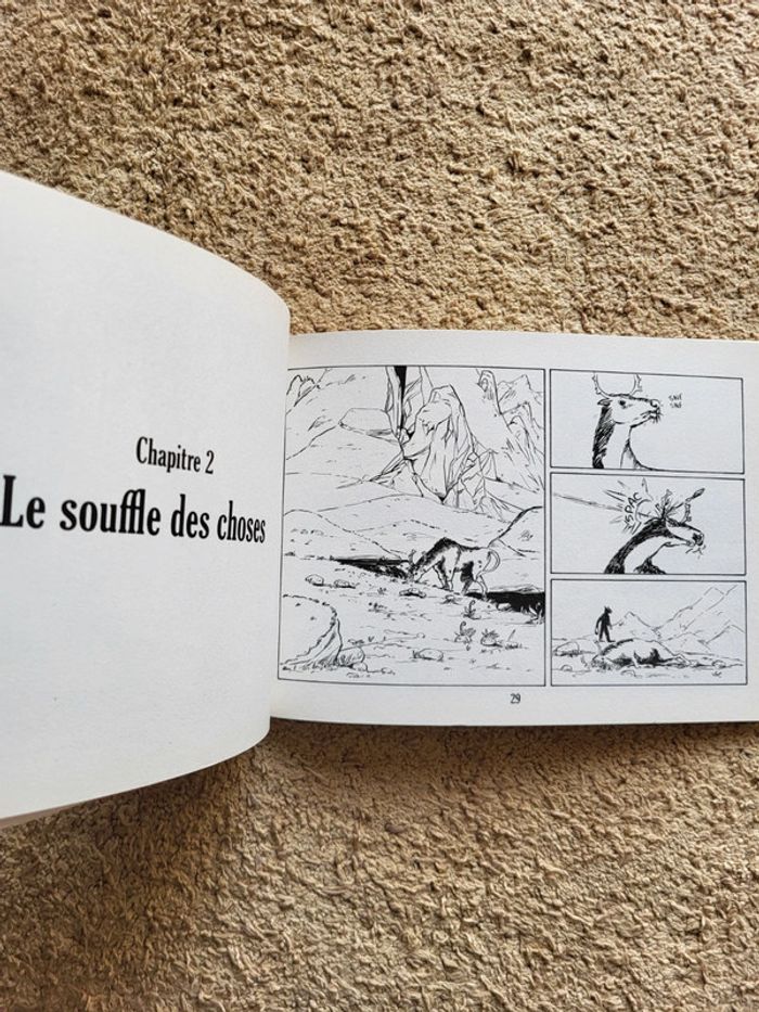 Lot de 2 BD Sathaden Tome 1 Le rite de passage et Tome 2 Le temple du corbeau - photo numéro 7