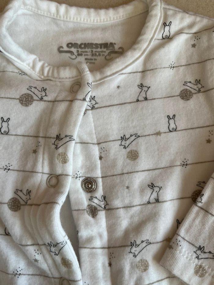 Grenouillère orchestra - photo numéro 2