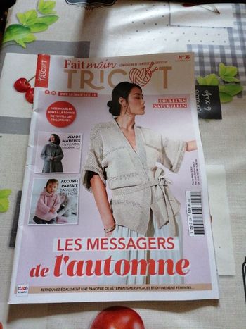 Livre tricot fait main