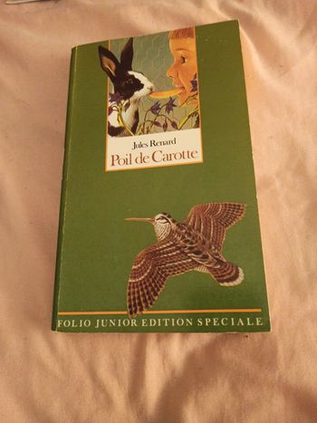 Livre poil de carotte