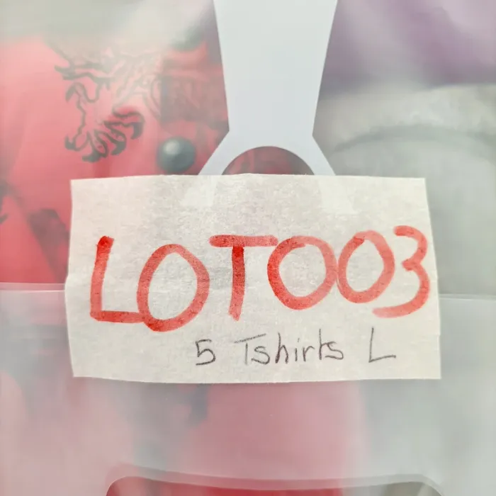 Lot 5 tshirts femme taille L revendeur divers styles / marques (Camaïeu, Jennifer etc) LOT003 - photo numéro 12