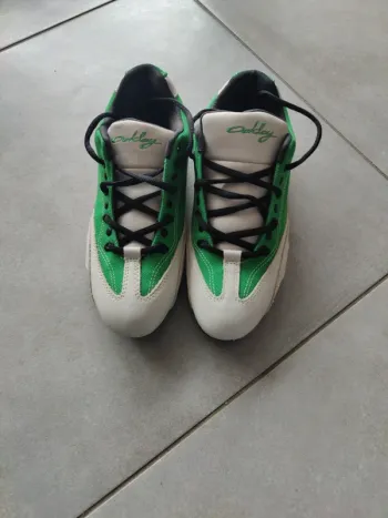 Baskets Oakley taille 38,5