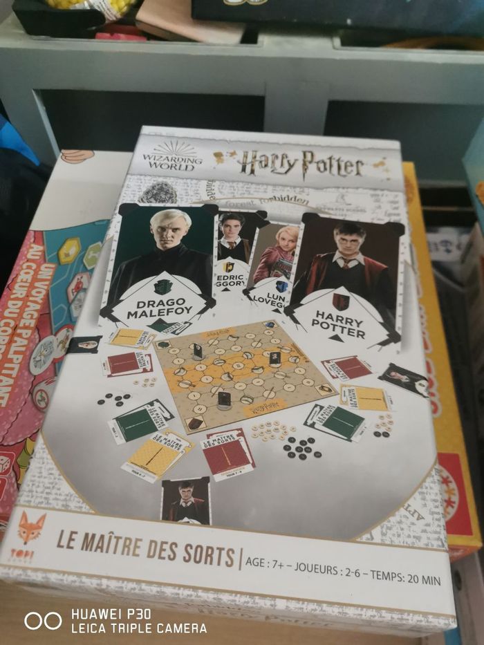 Le Maitre des Sorts Harry Potter