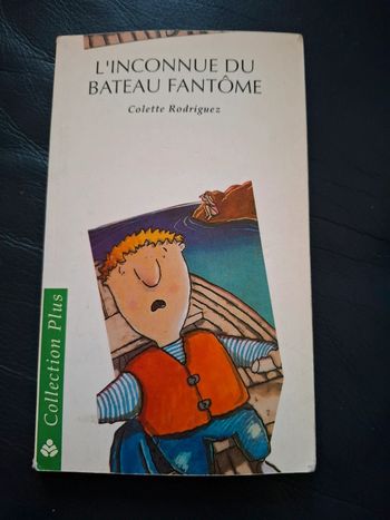 Livre  " L'inconnue du bateau fantôme "