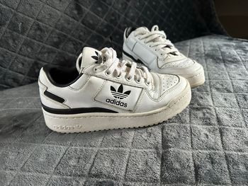 Basket adidas forum bold
