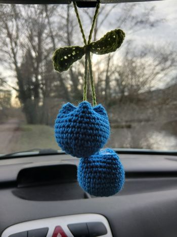 Décoration rétroviseur tulipe 