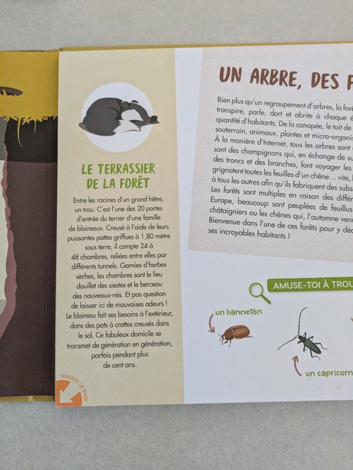Livre panoramique La forêt - photo numéro 3