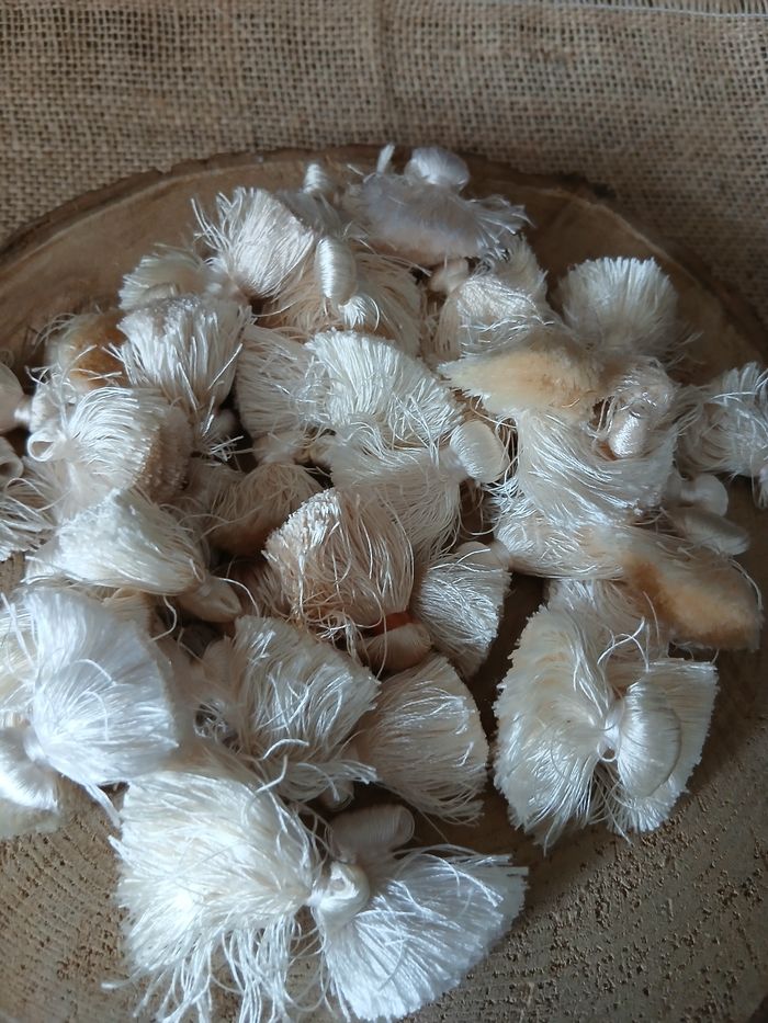 Lot de 50 pompons blanc crème - photo numéro 2