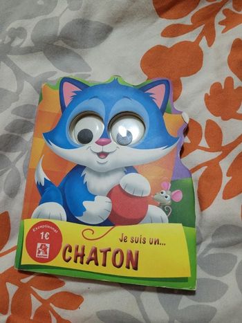 Je suis un chaton