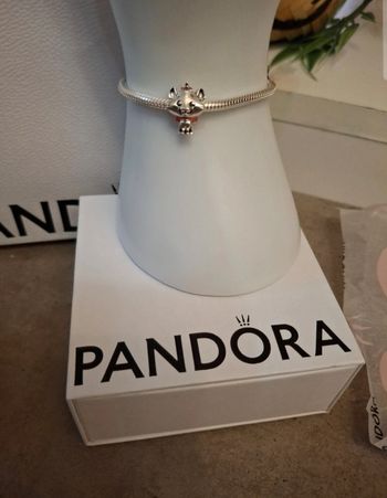 Charm Marie des Aristochats 