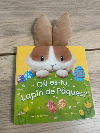 Livre lapin de Pâques