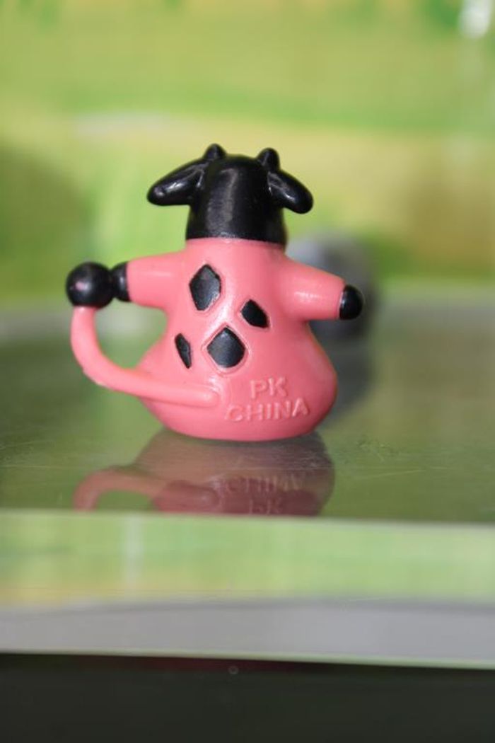 Pokemon Écrémeuh - photo numéro 4