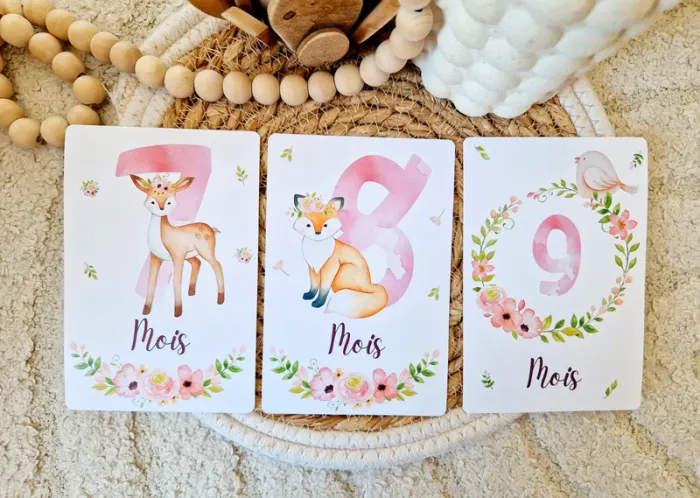 cartes étapes bébé - photo numéro 3