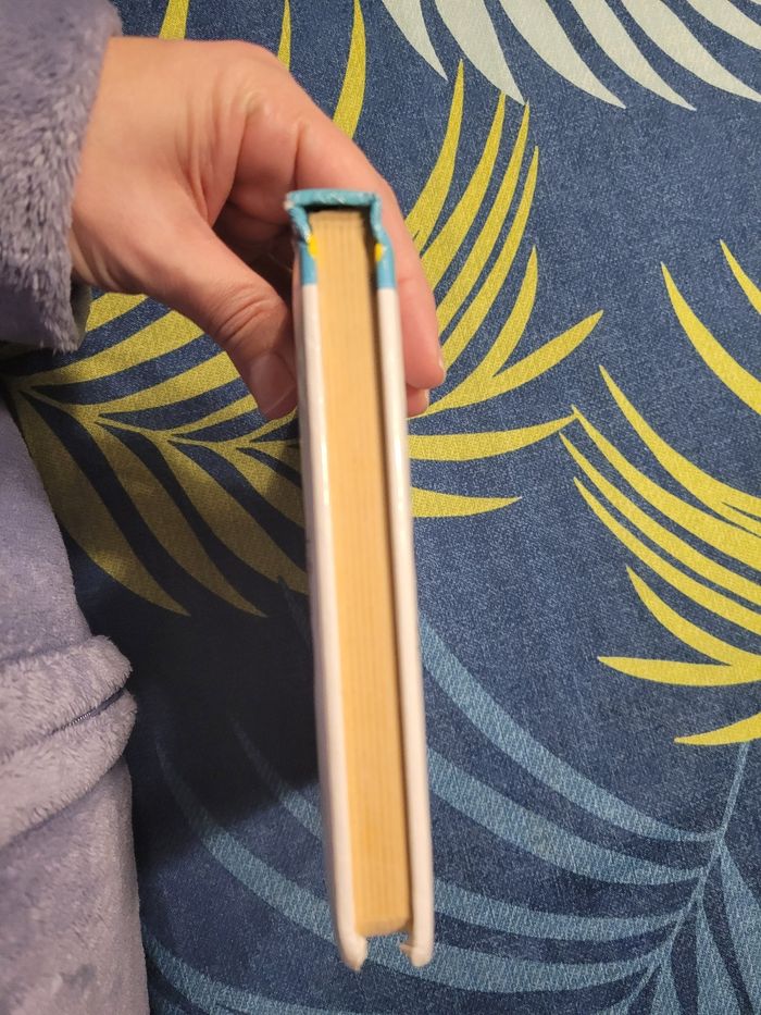 Livre p'tit mickey vétérinaire disney - photo numéro 4