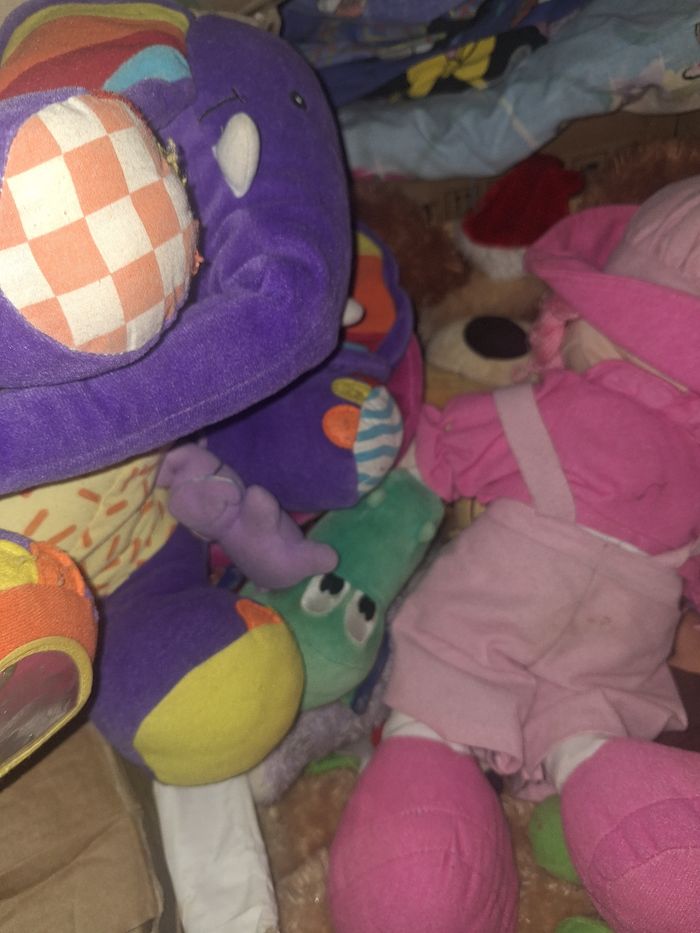 Peluche
