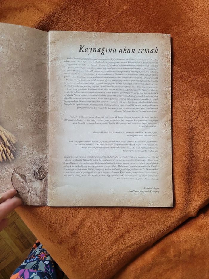 Sultan of the Dance. Turc - photo numéro 2