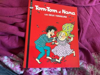 Livre tom tom et nana les deux terreurs