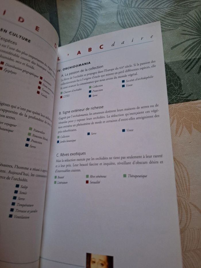 L' ABCdaire des orchidées - photo numéro 7
