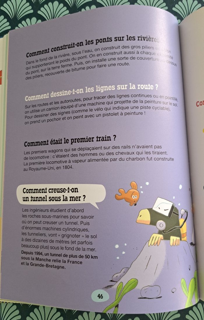 Livre les incollables 700 pourquoi comment - photo numéro 4