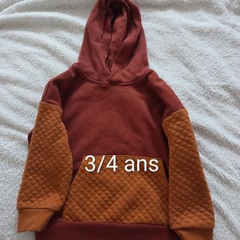Sweat capuche 3/4 ans lupilu 
