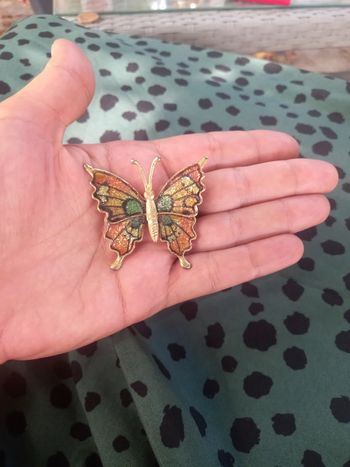 Broche papillon