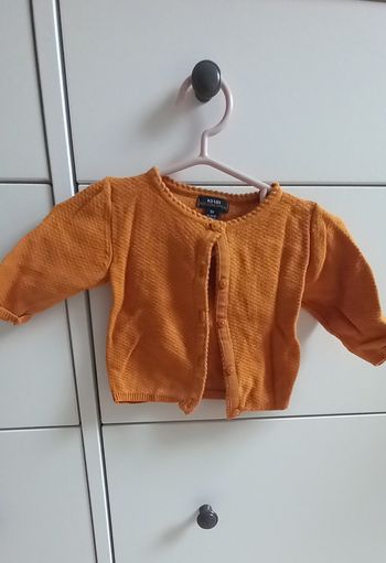 Lots gilets avec boutons