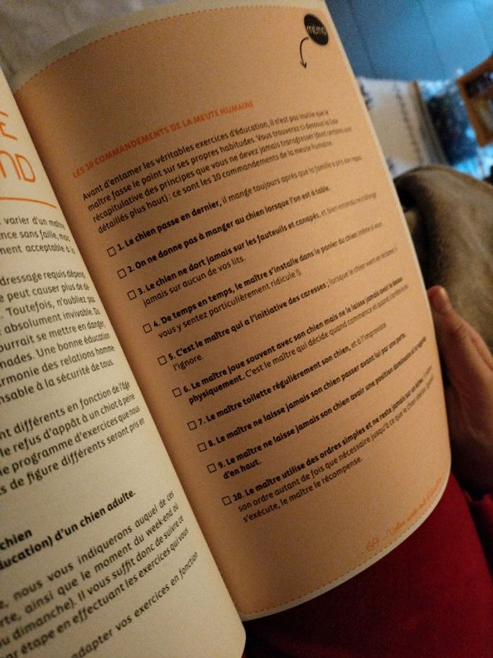 J' éduqué l'on chien en un week end - photo numéro 7