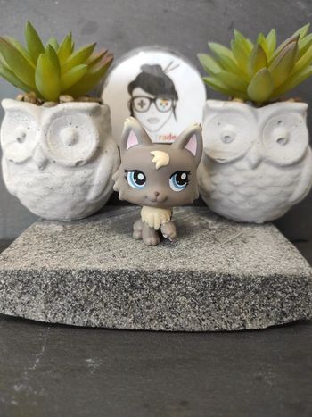 My Littlest Petshop LPS Pet Shop chat persan 1411 cat  #geektradelpschat