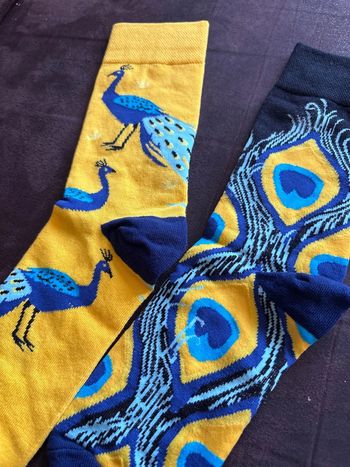 Chaussettes dépareillées paon