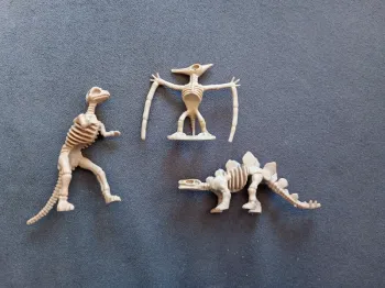 Squelettes dinosaures