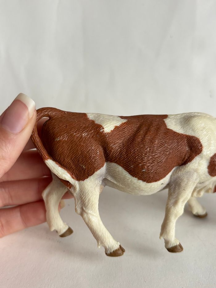 Vache papo - photo numéro 4