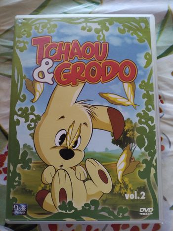 DVD Tchaou Grodo en très bon état 